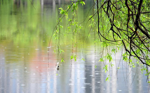 雨季的建筑守護 —— 吉成建筑裝飾的產品在雨季的應用實踐